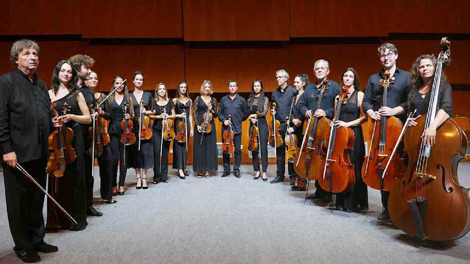 Cercle des Artistes de l'Orchestre de Chambre du Languedoc