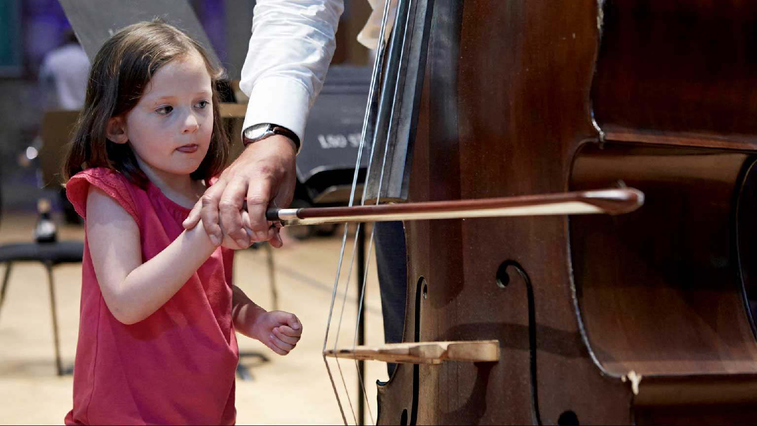 Apportez votre soutien financier à l'Orchestre de Chambre du Languedoc, afin de favoriser l'éducation musical près de chez vous